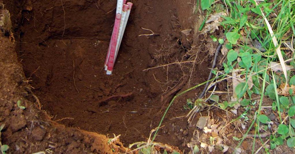 Geomorfologia: depressione intermorenica Ap: 0-25 cm; limite inferiore chiaro; colore nero (10YR2/2); struttura grumosa fine, soffice; scheletro assente; ph di campo 5;