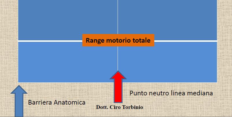 Il concetto di Barriera Nella valutazione della fisiologia articolare è fondamentale il concetto di Barrieradel movimento articolare e tissutale, sia normale che anomala.