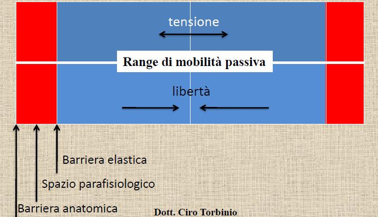 Mobilità attiva e barriera fisiologica L ampiezza del movimento attivo eseguito dal paziente è definita barriera fisiologica. Esso è inferiore rispetto al movimento passivo.