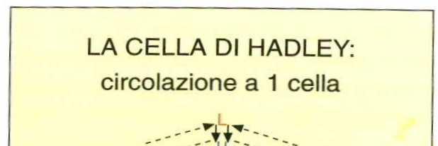 LA CIRCOLAZIONE TEORICA DI HADLEY (1735) Modello a singola cella per