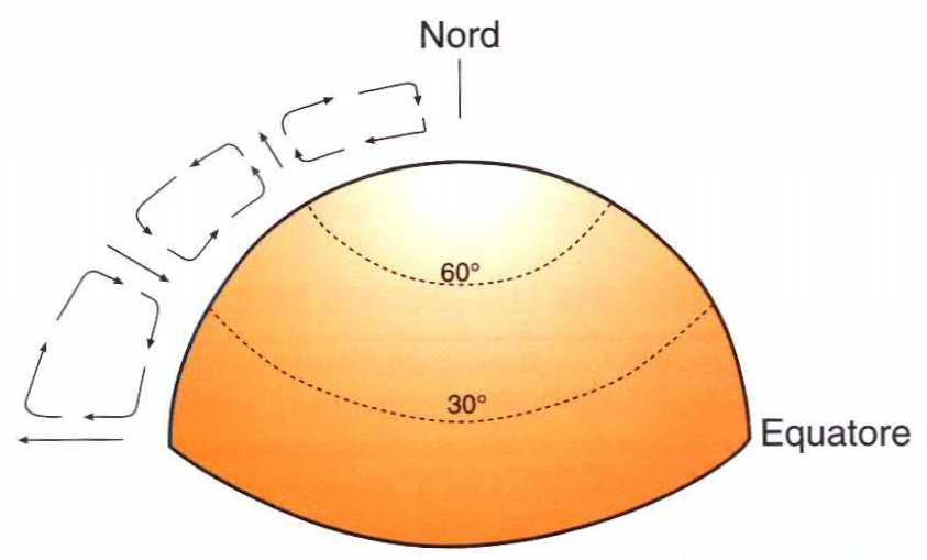MODELLO DI CIRCOLAZIONE A 3 CELLE: terra ruotante e omogenea 1 2 3 (1) Cella di Hadley -guidata dal gradiente termico meridionale (circolazione