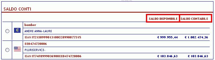 6.1.2 Saldo Questo comparto mostra i Saldi dei rapporti attivi sulla posizione.