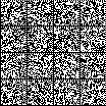 31, comma 1 Dimensione Indicatore Input Giornate lavorative Oneri sociali Recite/ concerti/