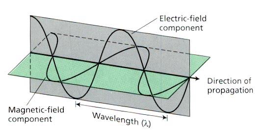 λ = c/ν La luce è un onda trasversale elettromagnetica, che consiste in campi elettrici e magnetici oscillanti perpendicolarmente gli uni rispetto agli altri e alla direzione di propagazione dell