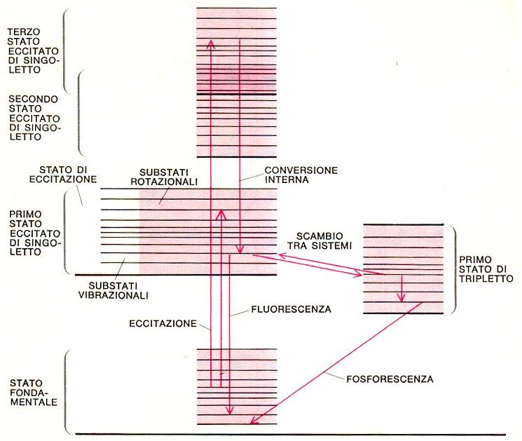 l eccitazione di un elettrone in una molecola porta l