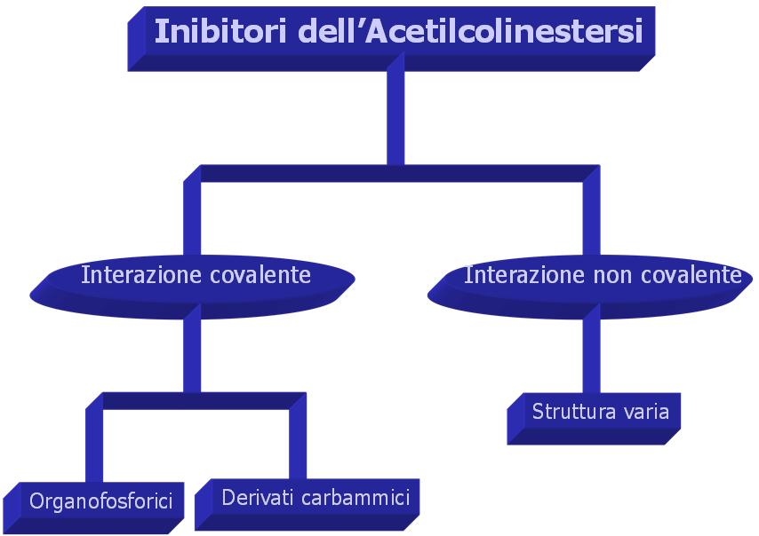 Enzima riattivato