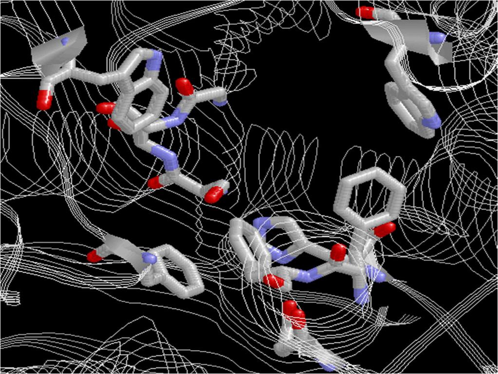 Sito catalitico TRP 279 TRP 84 GLY 118