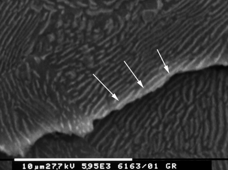 Figura 4.3.14: Ghisa sferoidale perlitica (R = 0.1, K = 12 MPa m). Figura 4.3.15: Ghisa sferoidale perlitica (R = 0.