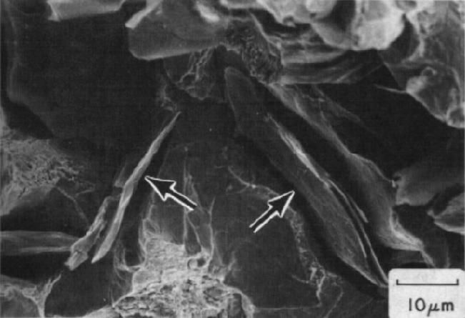 4: Ghisa grigia o lamellare [5] Fig.1.5: Micrografia della ghisa grigia. Le frecce indicano le lamelle di grafite [5].