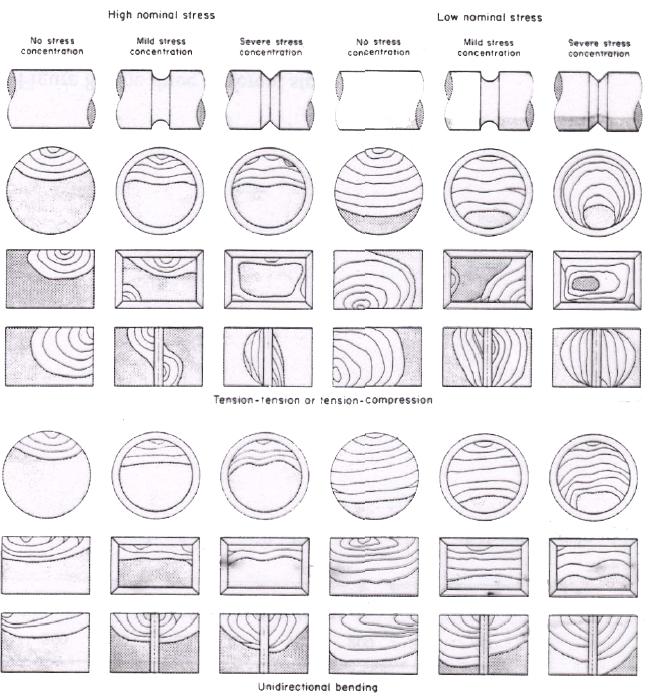 plastica (fig. 3.1.