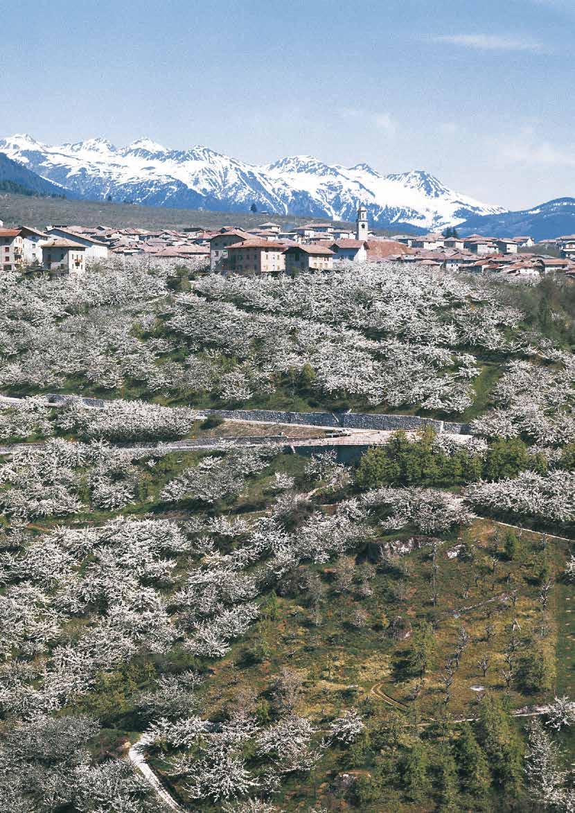 Tuenno, panorama Supplemento a il Trentino, rivista della Provincia autonoma di Trento, anno LI - n. 335, gennaio/febbraio 2015 Registrazione del Tribunale di Trento n. 100 del 13.08.