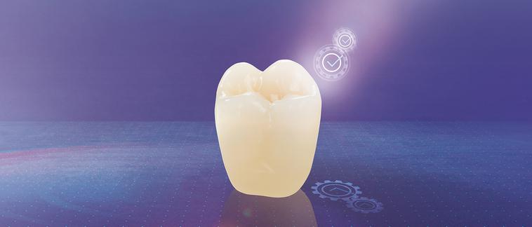 VITA MFT Posterior Per tutti i concetti protesici, grazie al design occlusale multifunzionale Descrizione Denti posteriori Basic con superfici occlusali multifunzionali, in polimero HC.