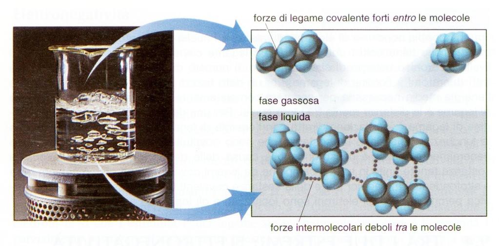 Come il modello del legame covalente spiega le proprietà dei composti covalenti: Esistono allo stato gassoso o liquido o sono solidi con basse T di fusione ed