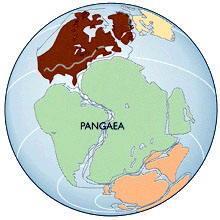 La deriva dei continenti Wegener presuppose che le terre attualmente emerse costituissero all'inizio dell'era mesozoica (circa 200 milioni di anni fa) un blocco unico che