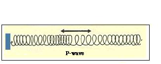 Sono infatti anche dette "longitudi-nali" perché fanno oscillare le particelle di