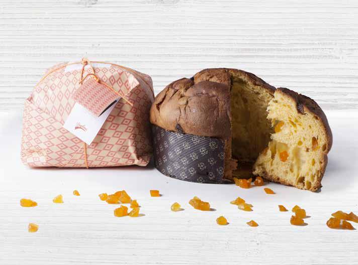 Panettone albicocca -