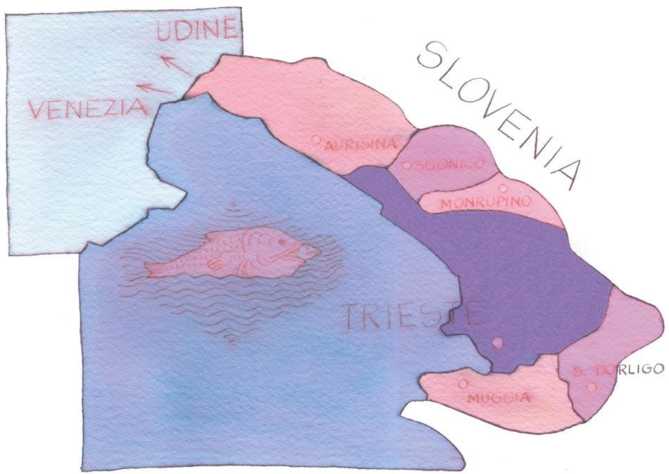 Il territorio della provincia di Trieste Provincia di Trieste 6 comuni Duino