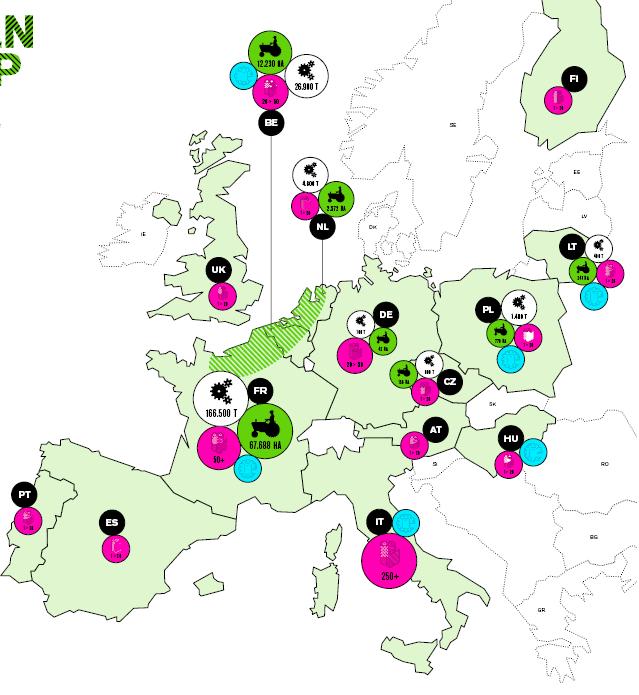 OGGI_EUROPA, LEADER NEL