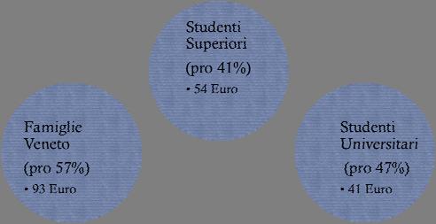 Disponibilità a pagare per un programma di prestiti (contributo medio annuale) Contributo