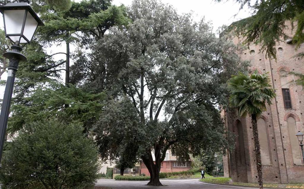 Imola, Giardino Benvenuto