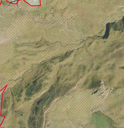 3211 - Praterie naturali d alta quota con assenza 3221 - Cespuglieti di specie arboree ed arbustive 3222 - Vegetazione dei greti 3212 - Praterie naturali d alta quota con