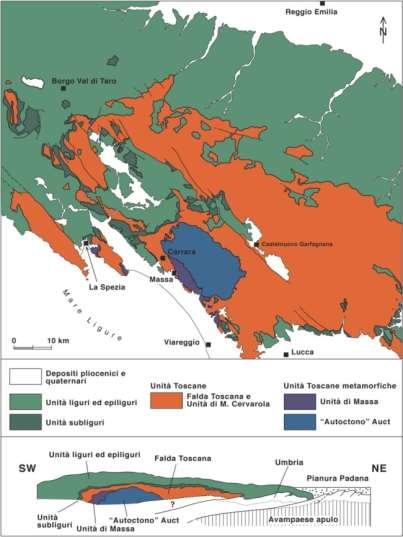 Inquadramento geologico delle Alpi Apuane Due Unità fasi metamorfiche deformative, profonde denominate (Unità tradizionalmente Massa e Autoctono D1 e D2. Auct.