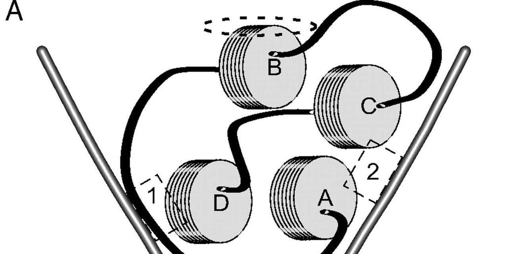 Structure of EPO