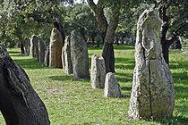 I menhir I menhir, sono grandi massi dalla forma allungata, all'origine costituivano probabilmente dei monumenti funebri I menhir (dal bretone men e hir "pietra lunga") sono dei megaliti (dal greco