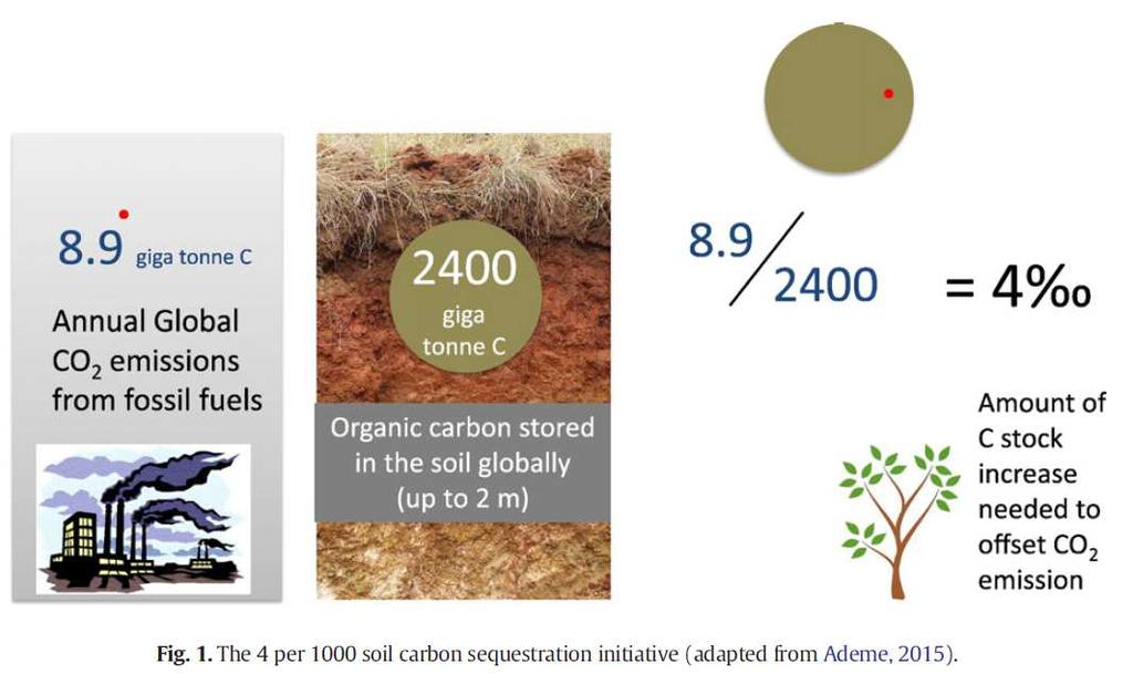 INIZIATIVA 4 X 1000 DI SEQUESTRO DI CABONIO DEL SUOLO 10 THE 4 PER MILLE SOILS FOR FOOD SECURITY AND CLIMATE WAS LAUNCHED AT THE COP21 WITH AN ASPIRATION TO INCREASE GLOBAL SOIL ORGANIC MATTER STOCKS
