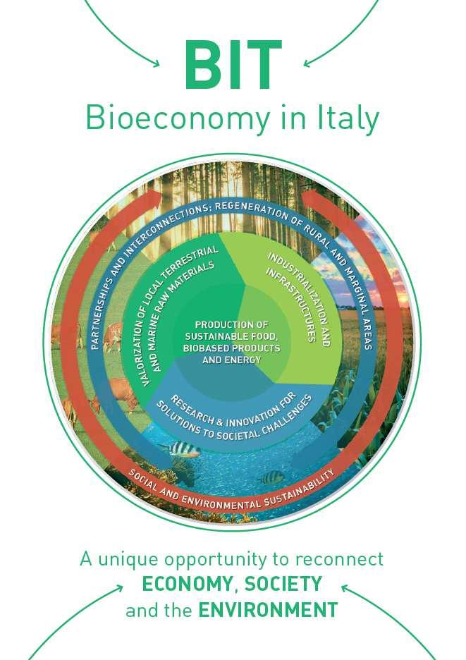 LA STRATEGIA ITALIANA SULLA BIOECONOMIA 18 «Il termine bioeconomia si riferisce a un economia che si fonda su risorse biologiche provenienti della terra e dal mare, nonché dai rifiuti, che fungono da