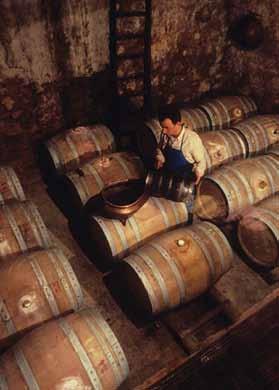 Mai come prima il commercio estero ha dato un contributo determinante al bilancio del vino italiano, registrando uno dei picchi massimi nell export nazionale con quasi 19,5 mio hl, presumibilmente il