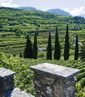 Come evidenziato dal grafico precedente, non solo il TRENTODOC ha un numero maggiore di presenze (linea gialla) rispetto al concorrente diretto Franciacorta, ma ottiene questo risultato soprattutto