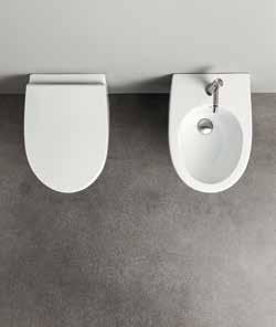 Slim toilet seat with quickrelease system.