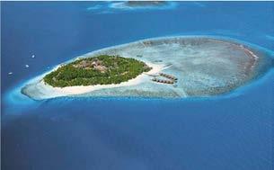 FIHALHOHI ISLAND Il Fihalhohi island resort è la soluzione ideale per una perfetta vacanza presso la bellissima isola di Fihalhohi delle Maldive.