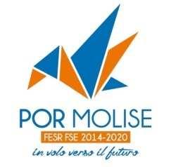 S@lute 2017 "L@boratorio Molise:progettare il