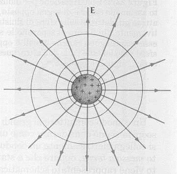 SUPERFICI EQUIPOTENZIALI E LINEE DI CAMPO Luogo dei punti dove V