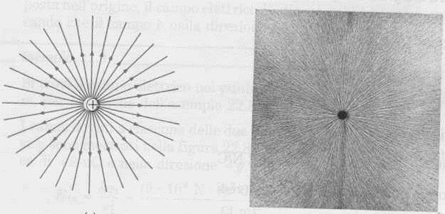 LINEE DI FORZA Definizione: linee tali che in ogni punto la tangente coincide con la direzione del campo E in quel punto + (verso coincidente col verso di E) pezzetti di filo sospesi in olio Esempio: