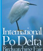 4 Asoer notizie Fiera Internazionale del Birdwatching e del Turismo Naturalistico 2004 www.podeltabirdfair.