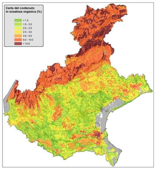 DELLA SOSTANZA ORGANICA Aree a rischio: