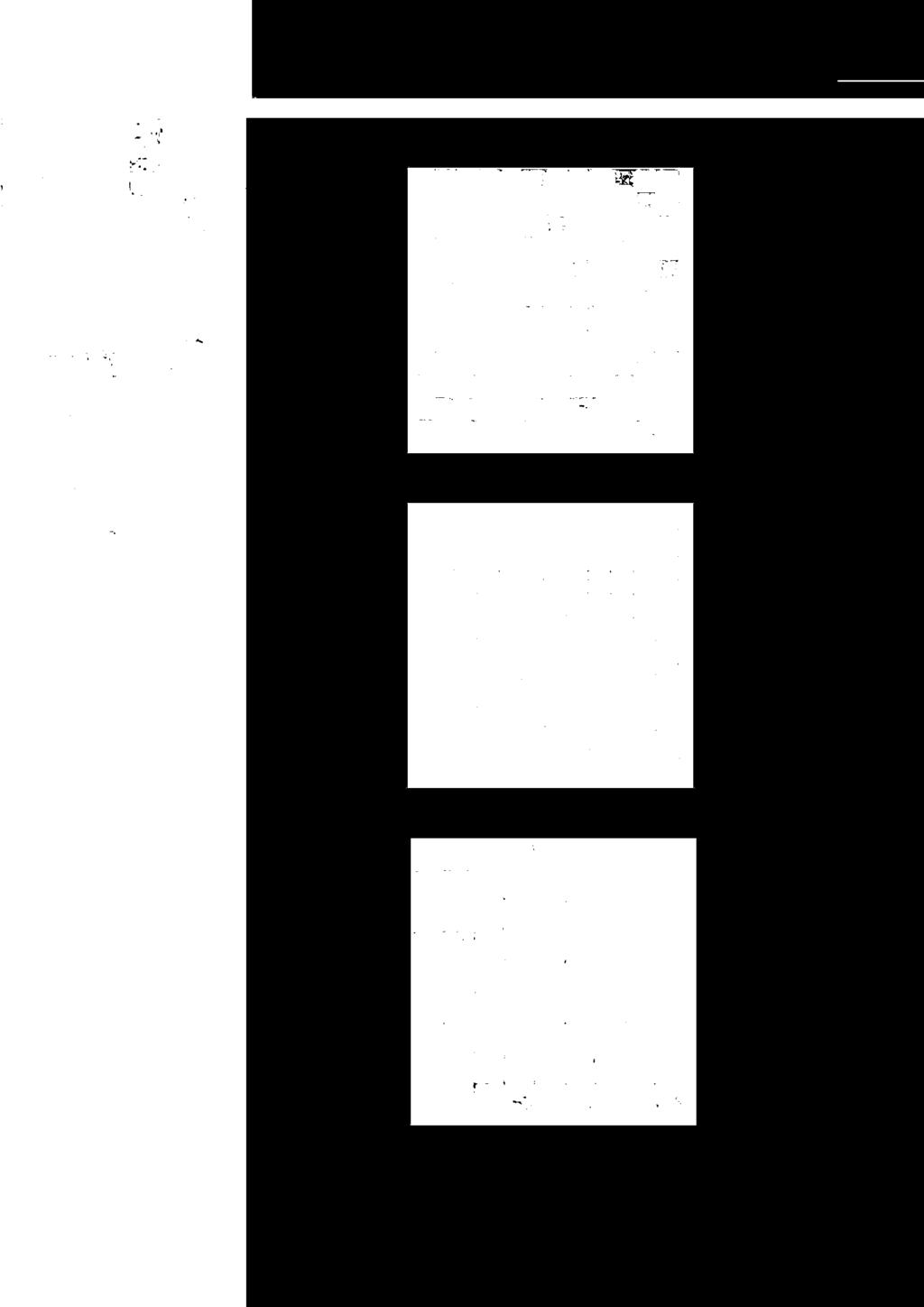 tessere 2,5x2,5x0,7 cm 184/mq MODENA NOCE 30x30