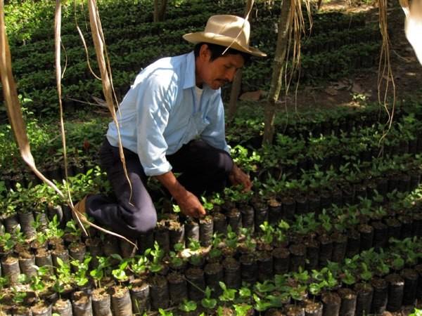 Huehuetenango è la più alta catena montuosa non vulcanica del Centro America.