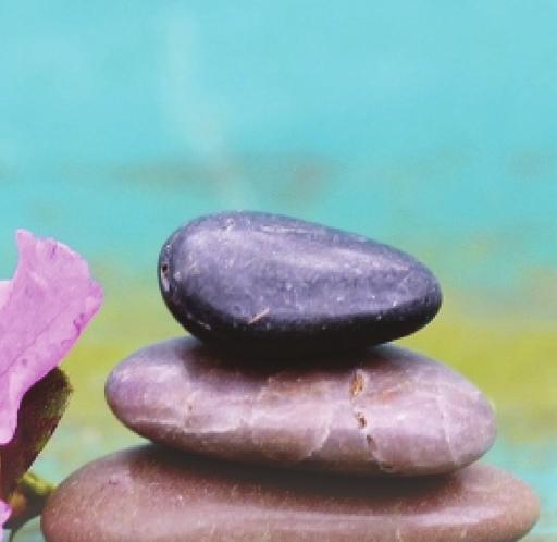 Ginko spa (solo maggiori di 14 anni) con piscina interna riscaldata, angolo idromassaggio, nuoto