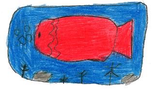 Il pesciolino Papu un racconto scritto e illustrato da Serena Barone Katrine Chen Giovanni Niro Simona Ricci durante le ore di attività alternativa