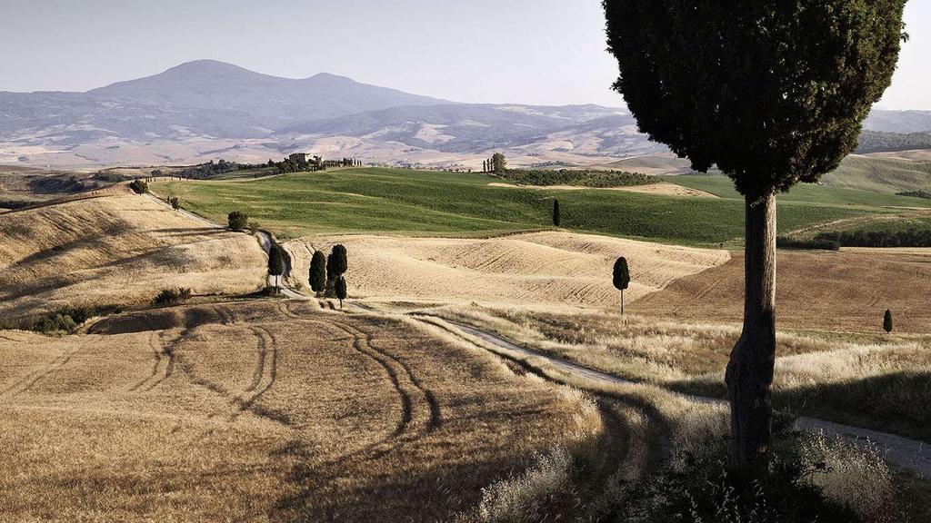 A Terrapille, lungo la strada per Pienza, è stata