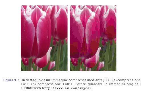 JPEG Utilizzata per le immagini fisse I nostri occhi non sono sensibili alle piccole variazioni di tonalità, ma sono sensibili alle piccole variazioni di luminosità fornisce una descrizione meno