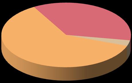 anni Tra 26 e 35 anni Tra 36 e 45 anni Tra 46 e 55 anni Tra 46 e 55 anni = 35% Tra 36 e 45 anni = 24% Tra 26 e 35 anni