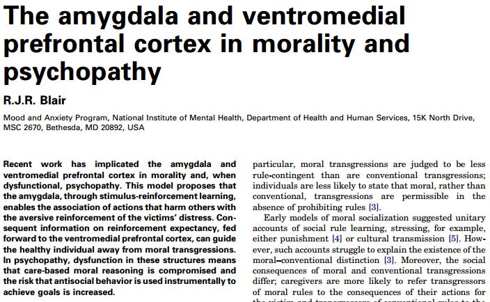 Dalle perdite al rimorso e al senso morale (passando per l empatia) Care-based Morality (Blair, 2007, TiCS) Decision-making