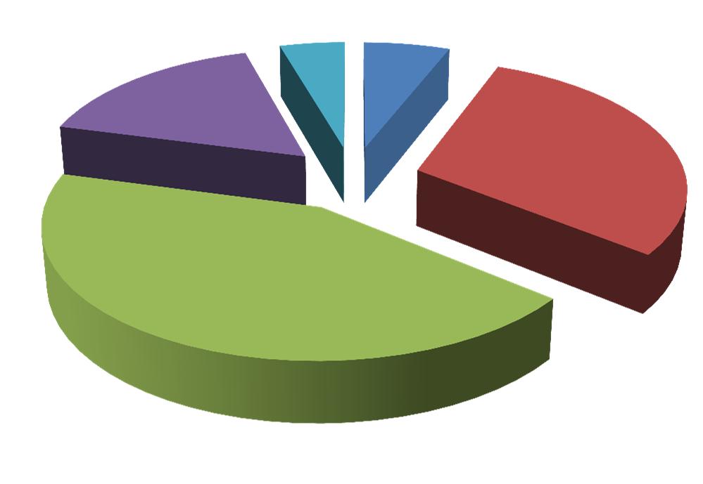 ANDAMENTO RF NATALIZIA 2010 16% 5% 6% 30% MOLTO PIU DI PIU IN LINEA MENO MOLTO MENO 43% Anche la Raccolta fondi di Natale ha dato i primi segnali di miglioramento apprezzabili rispetto all anno