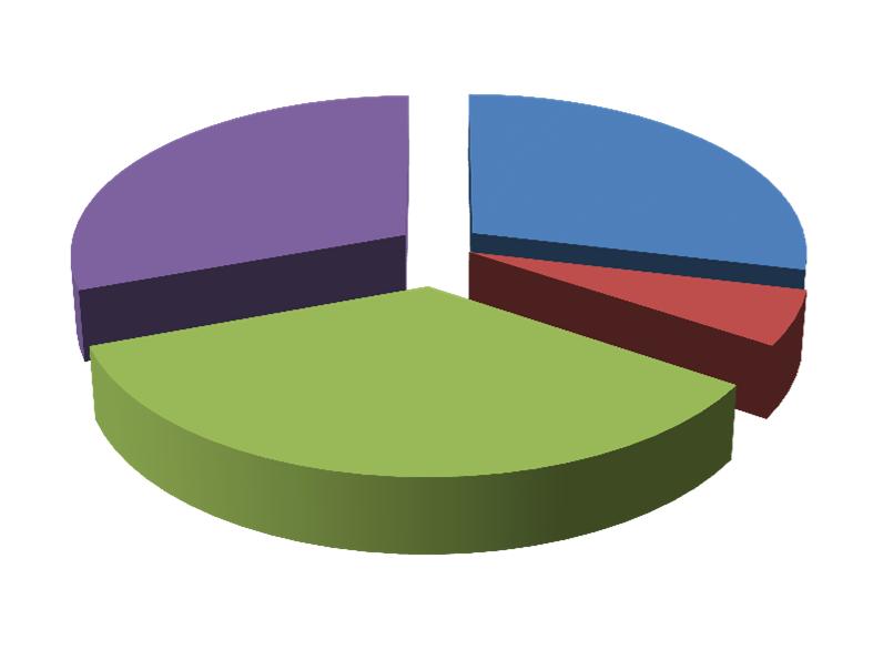 TARGET MAGGIORMENTE COLPITI NEL 2010 Donatori che hanno maggiormente ridotto le erogazioni verso il nostro campione 31% 29% AZIENDE FONDAZIONI BANCARIE 5% PRIVATI (CITTADINI) 35% PUBBLICA