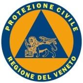 G.C.V.P.C. Lendinara Comune di Lendinara Provincia di Rovigo Gruppo Comunale Volontari Protezione Civile di LENDINARA Esercitazione di Protezione Civile A U X I